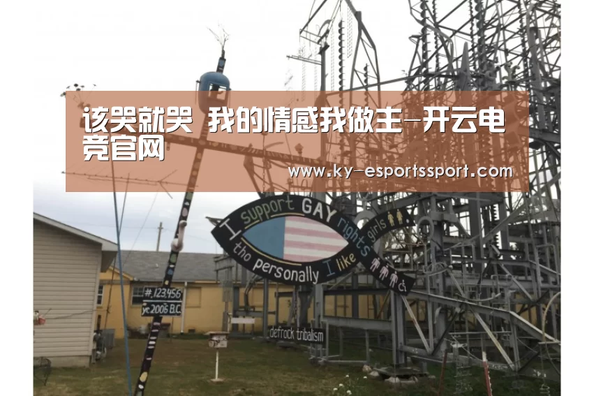 该哭就哭 我的情感我做主-开云电竞官网(图2) 开云全站下载