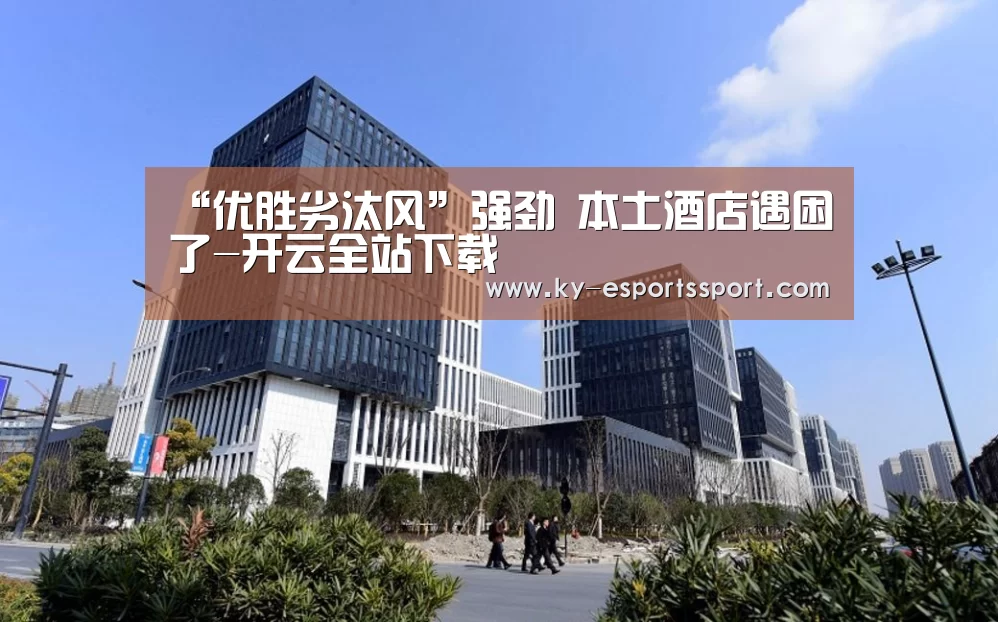 开云体育下载