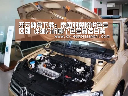 开云移动端