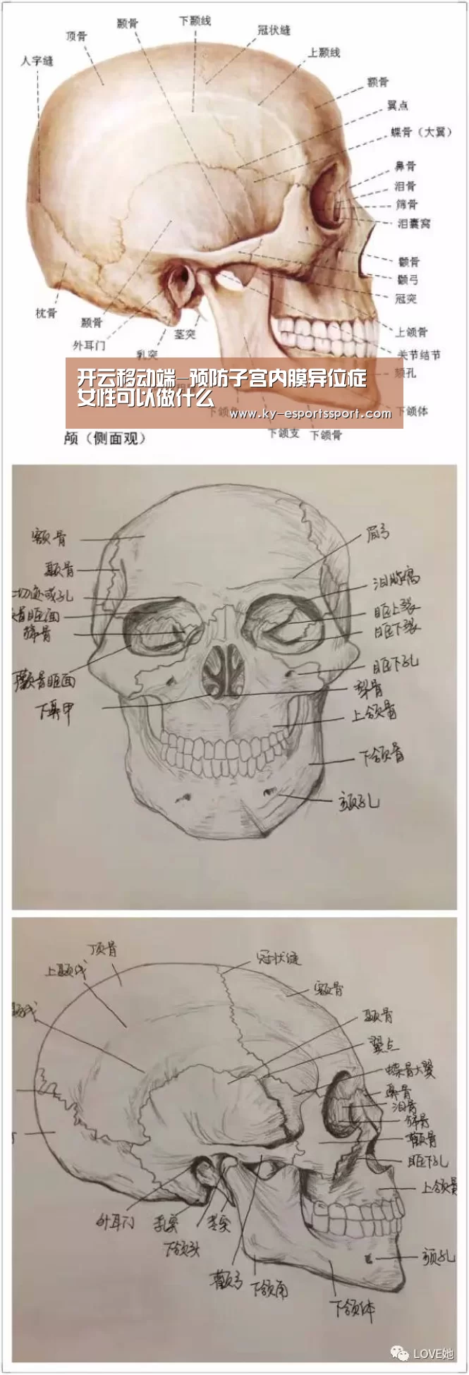 开云移动端-预防子宫内膜异位症 女性可以做什么(图4) 开云体育下载